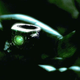 Illustration for article titled 200+ Green Lantern screencaps (#2)